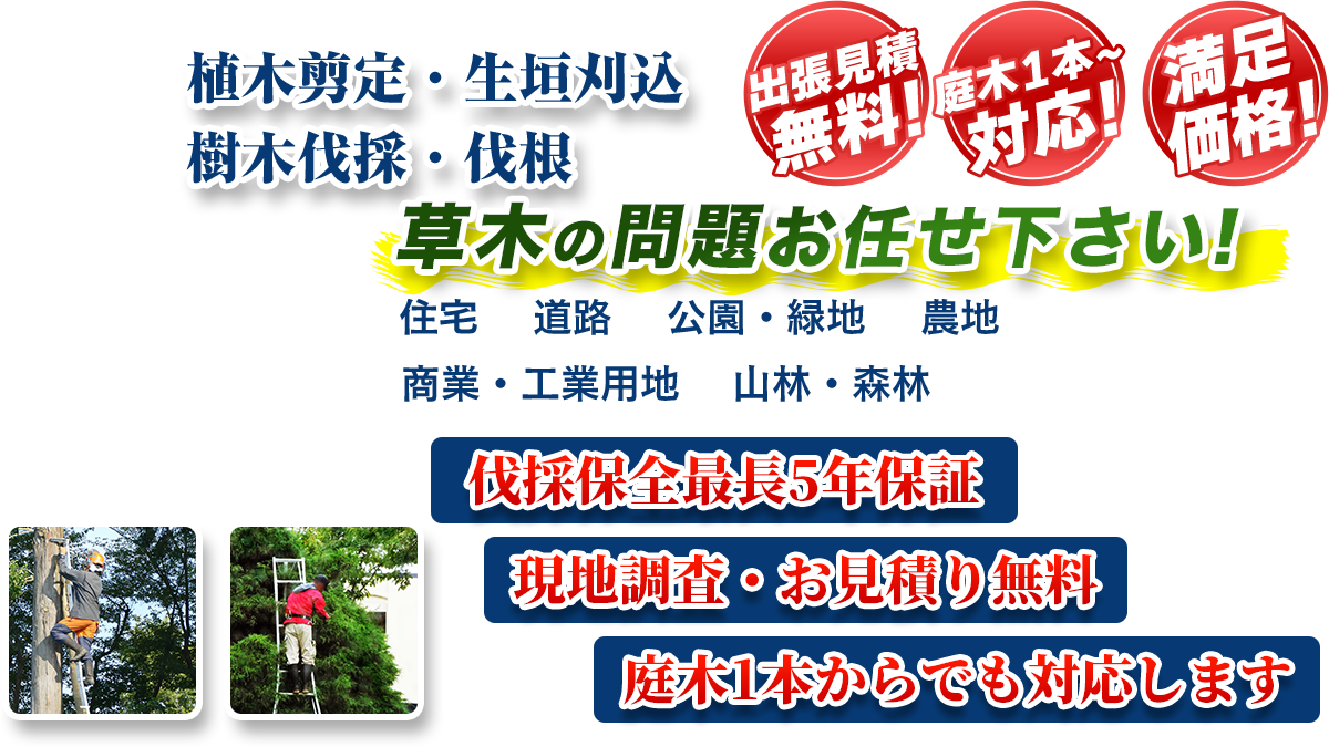 尾張・岐阜エリア即対応!! 出張無料! 庭木1本~対応! 満足価格! 植木剪定・生垣刈込 樹木伐採・伐根 草木の問題お任せ下さい! 住宅 道路 公園・緑地 農地 商業・工業用他 山林・森林 伐採保全最長5年保証 現地調査・お見積り無料 庭木1本からでも対応します