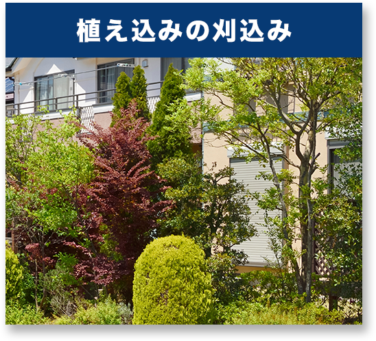 植え込みの刈込み