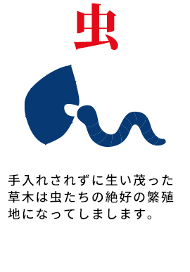 虫 手入れされずに生い茂った草木は虫たちの絶好の繁殖地になってしまいます。